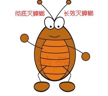 家里有蟑螂是什么原因（讲解蟑螂是怎么出现在家里的）(图1)