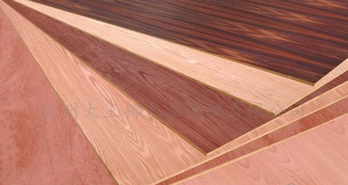 大王椰板材具有良好的耐久性和装饰效果（了解大王椰板材的特点和适用场景）(图1)