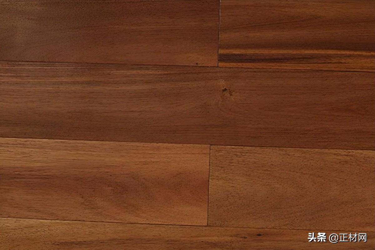 地板材质有哪些种类？（常见的地板木材种类和优点）(图9)