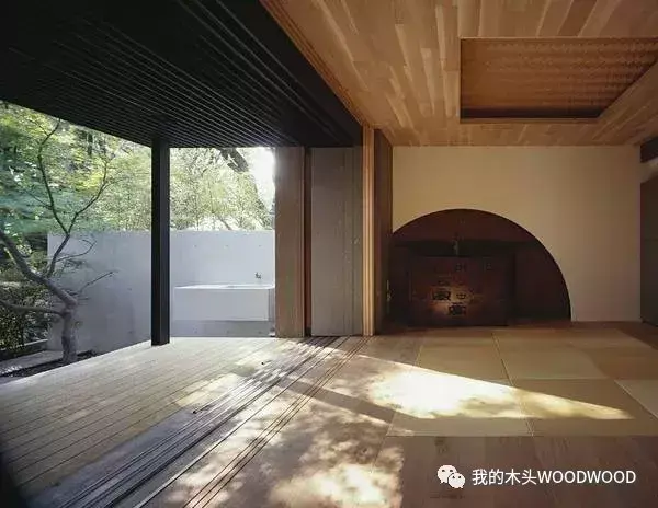 桧木是什么木材？（日本桧木怎么样？）(图12)