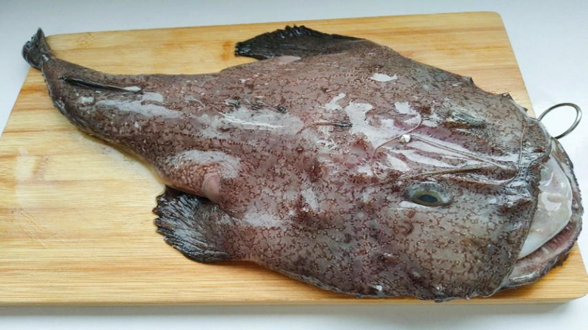 常见的深海鱼有哪些?（菜市场中哪些鱼是深海鱼？）(图3)