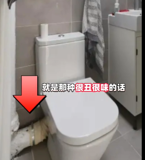 家用厕所普通马桶怎么选不堵（虹吸马桶和直冲马桶哪个好）(图5)
